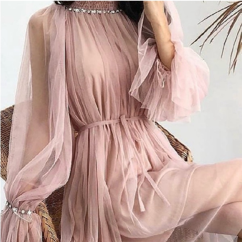 Belle - Muse pink tulle dress